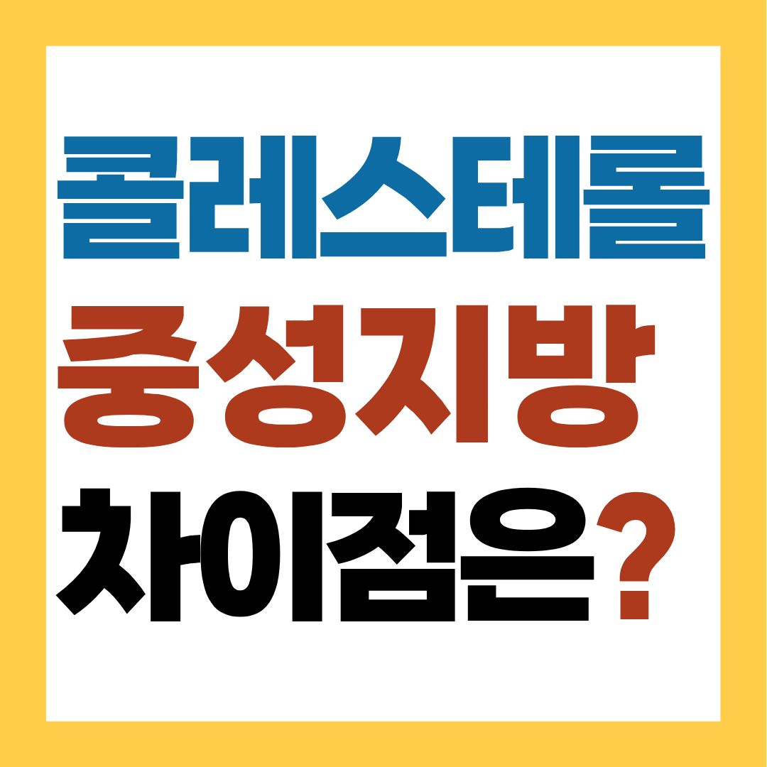콜레스테롤과 중성지방 차이점은