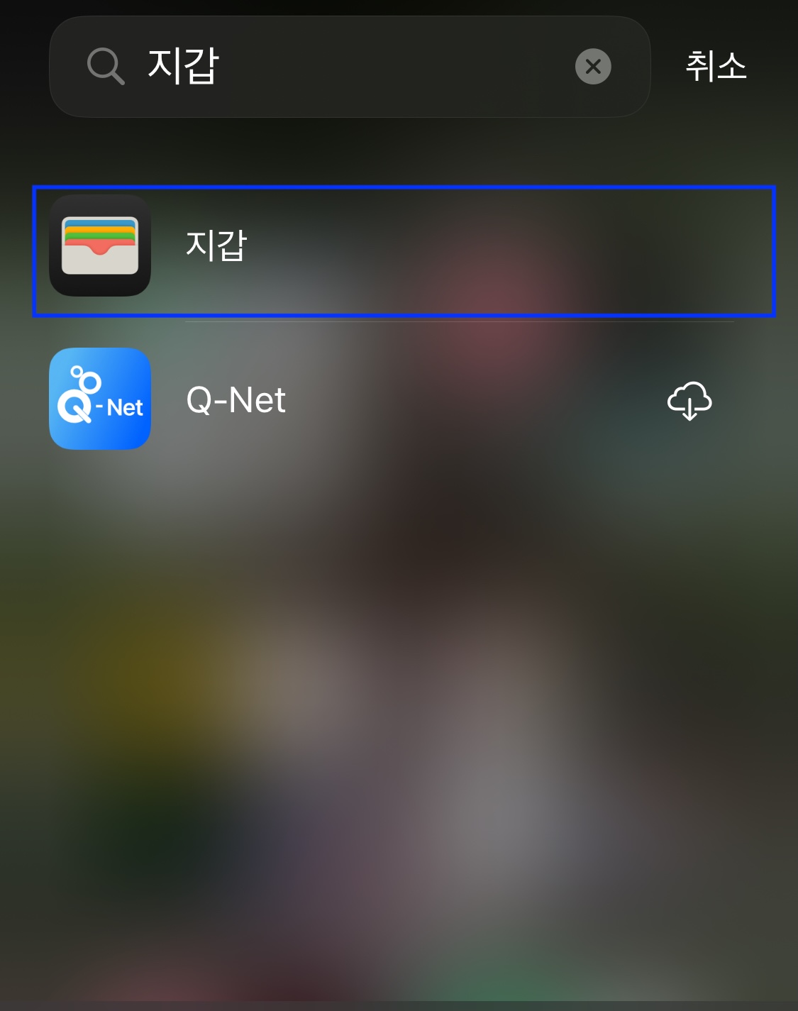 아이폰에서 지갑(wallet) 검색해서 실행하는 모습