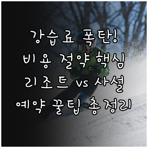스키 강습 유형 비용 비교 리조트 v..