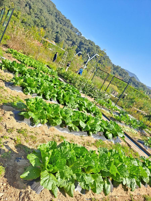 에덴낙원 셰프가든