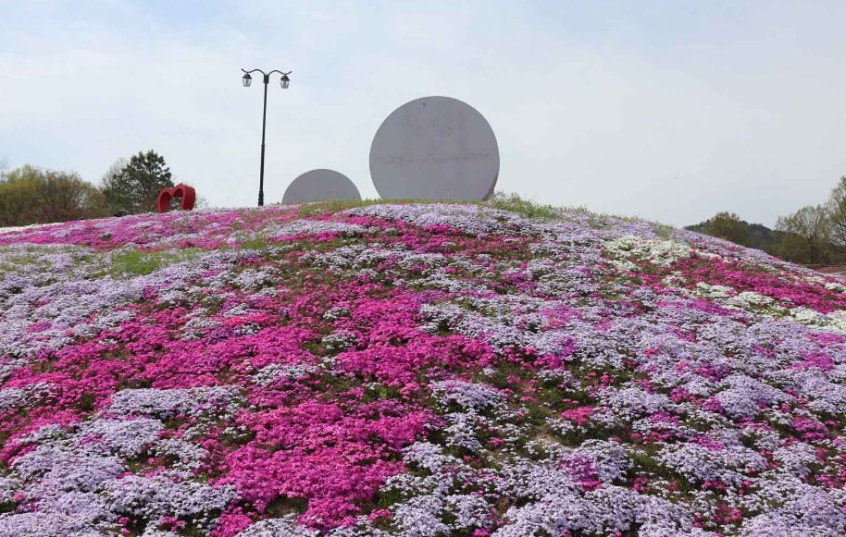 산청 생초국제조각공원