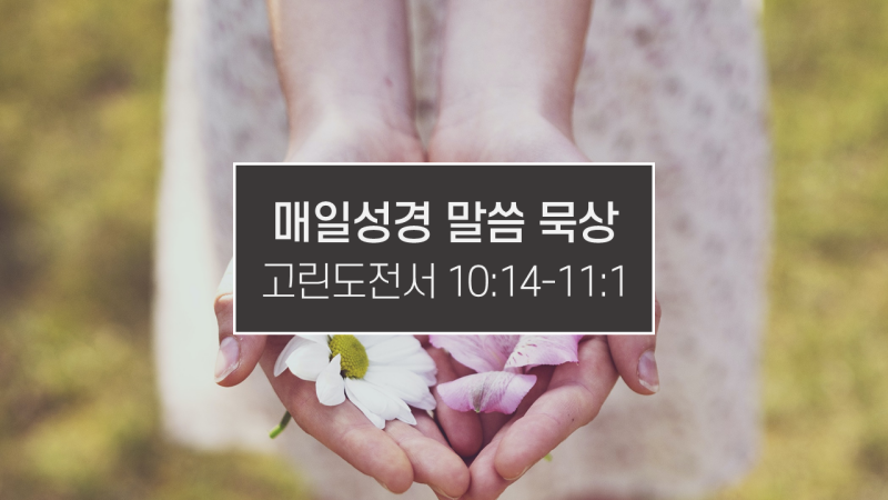 썸네일-꽃이-올려져-있는-손을-내민-사진