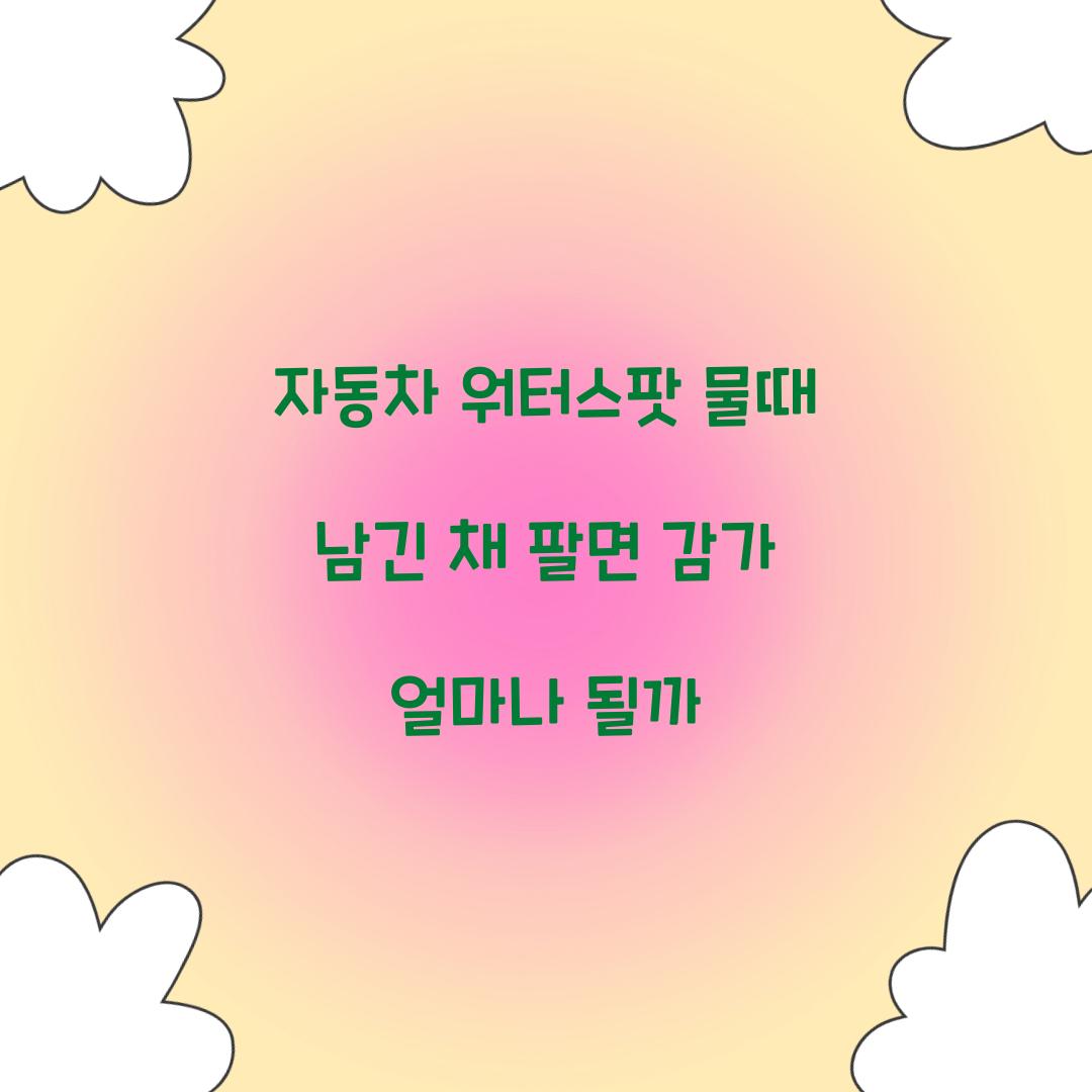 자동차 워터스팟 물때 남긴 채 팔면 감가 얼마나 될까