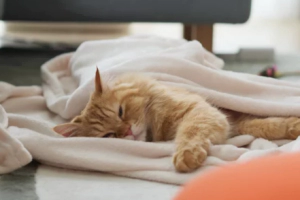 겨울철 난방비 절약