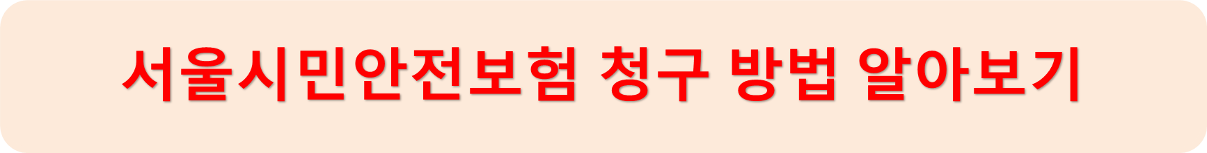 서울시민안전보험