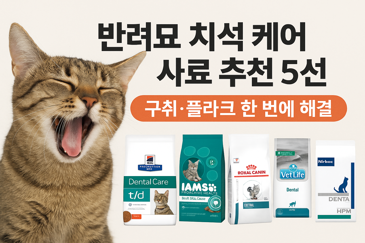 반려묘 치석 케어 사료