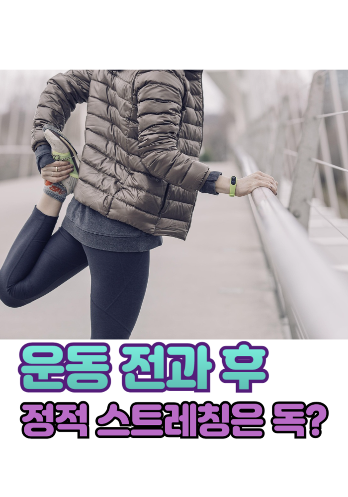 1.운동 전과 후 정적 스트레칭은 독?