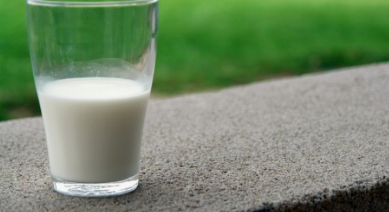 비타민 B 의 종류(분류)와 종류별 효능(역할) 및 결핍시 증상과 과잉 섭취의 부작용