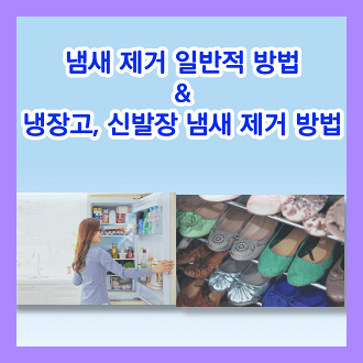 냄새제거 일반적 방법 및 냉장고, 신발장 냄새 제거 방법
