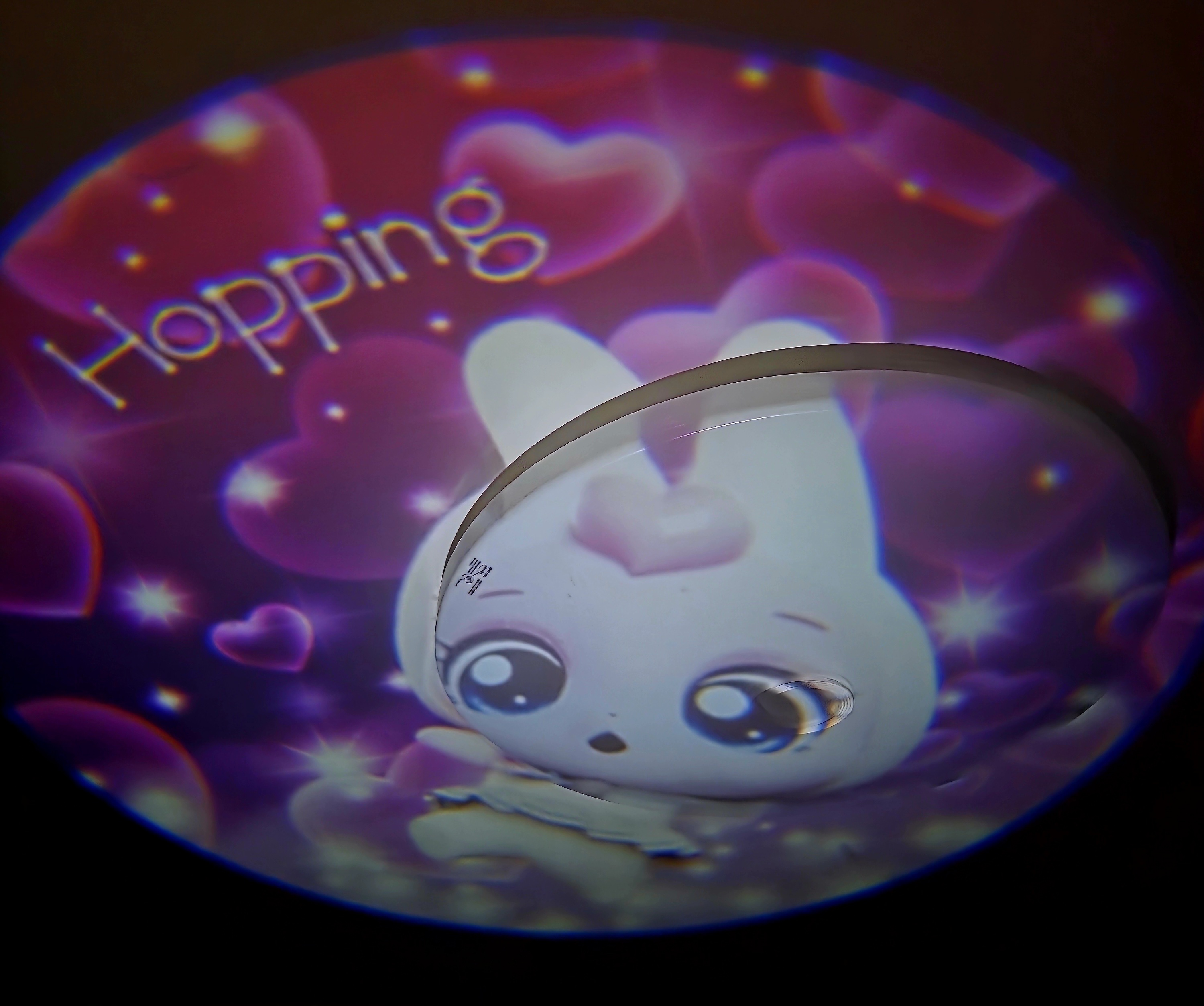 천장에도-쏴봤어요.