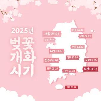 벚꽃 개화시기 2025 만개시기 히든스팟_20
