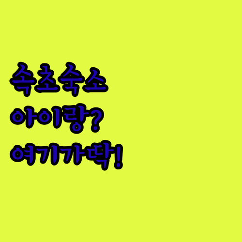 아이랑 가기 좋은 속초 숙소 추천 리..