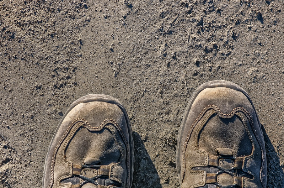 미세먼지 차단과 노화