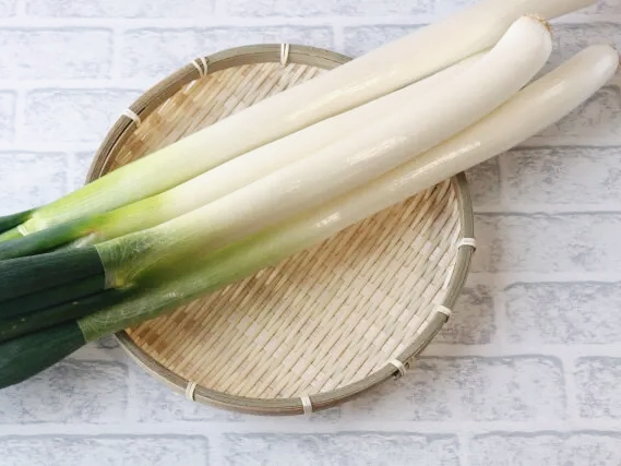 염증완화 대파 효능