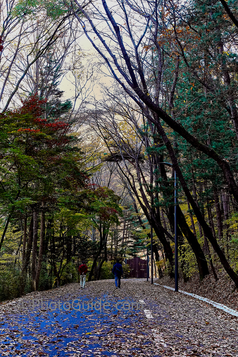 포토가이드 photoguide.com 가을 둘레길