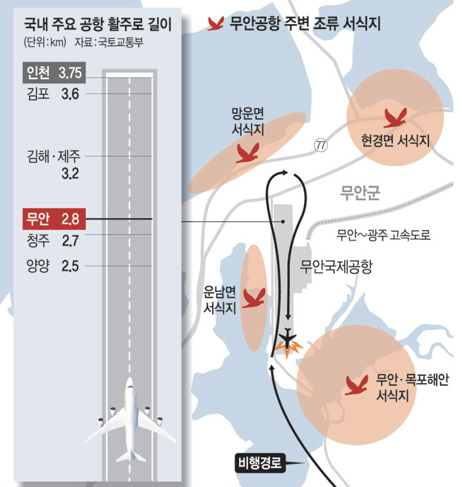 무안공항 철새서식지