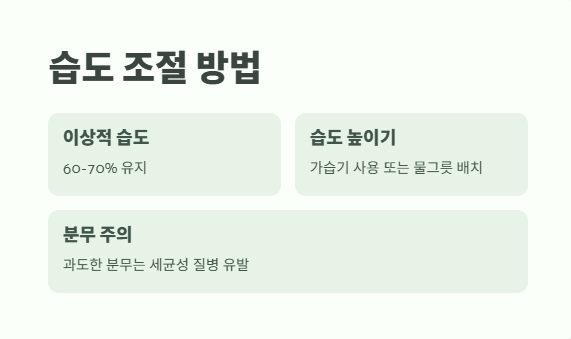 호접란 키우는법 쉽게 정리 9