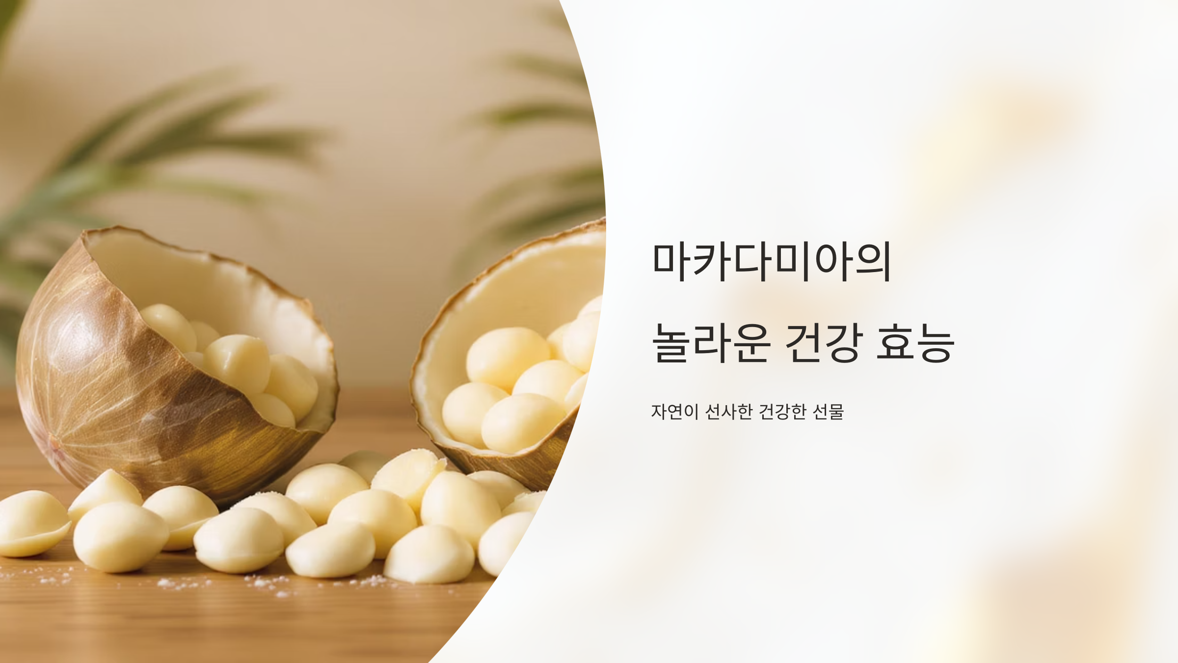 마카다미아 영양성분과 건강효능