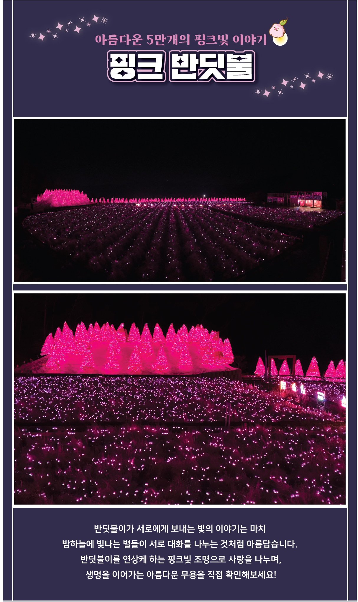  포천 허브 아일랜드 핑크 빛으로 말하다 프로그램