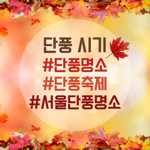 단풍시기-단풍명소-단풍축제-서울단풍명소