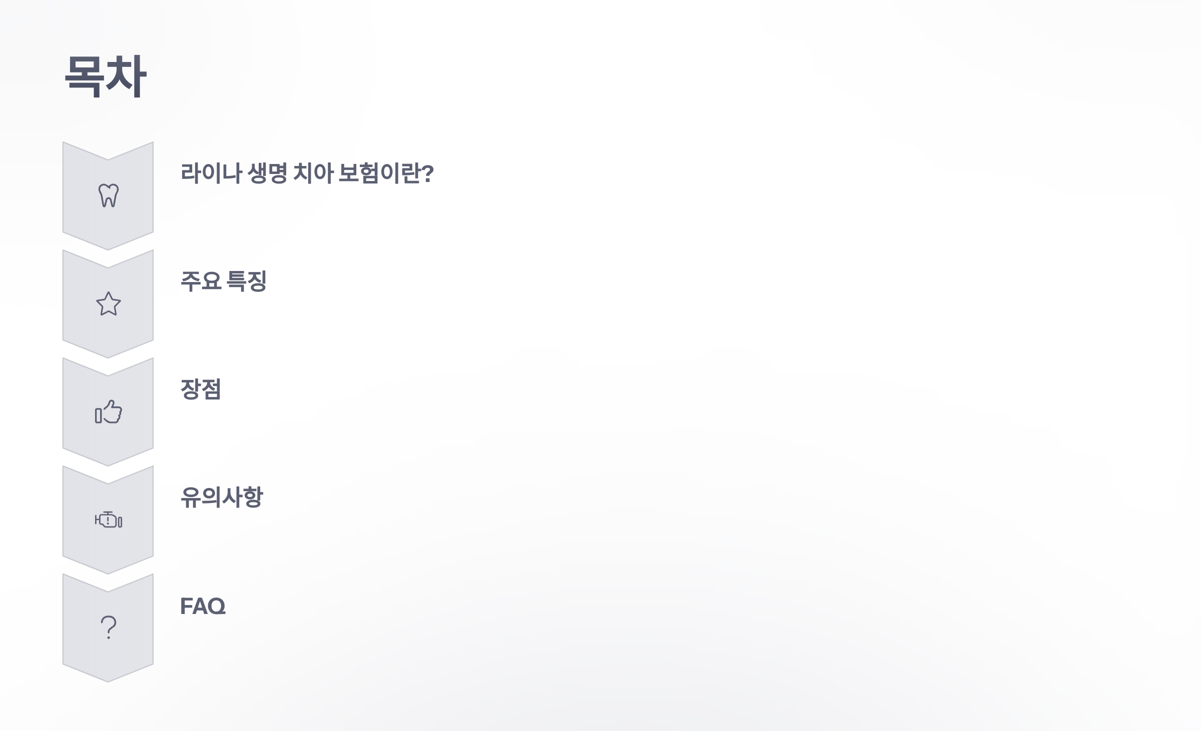 라이나-생명-치아-보험-02