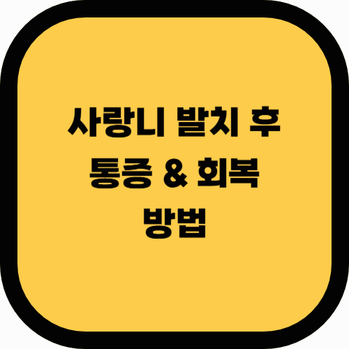 사랑니 발치 후 주의사항 – 통증 줄이는 방법과 회복 팁