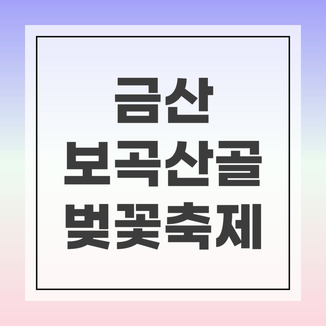 금산 보곡산골 벚꽃축제