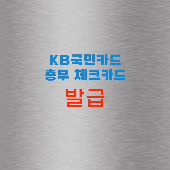 KB국민카드 총무 체크카드