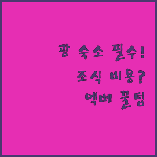 괌 여행 숙소 예약 전에 필독 조식 ..