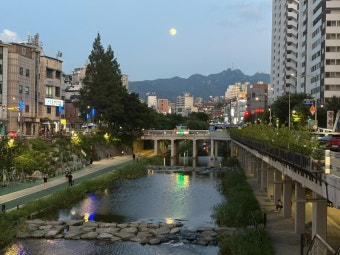 도림천 따라 걷는 신도림~문래 도보 – 물길과 골목이 만나는 하루