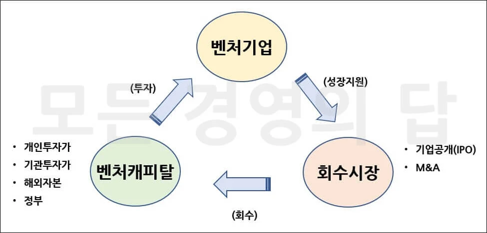 벤처캐피탈의 역할