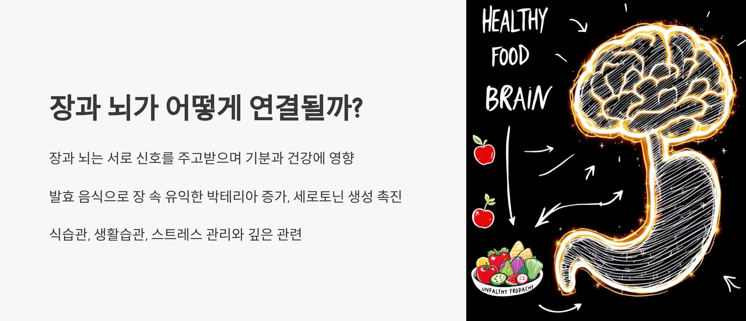 장과 뇌가 어떻게 연결될까?
