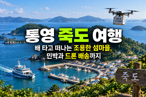 통영 죽도 여행|배 타고 떠나는 조용한 섬마을, 민박과 드론 배송까지