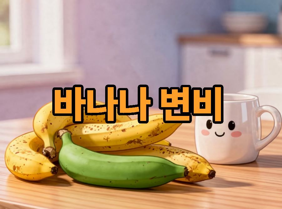 바나나 변비 정리