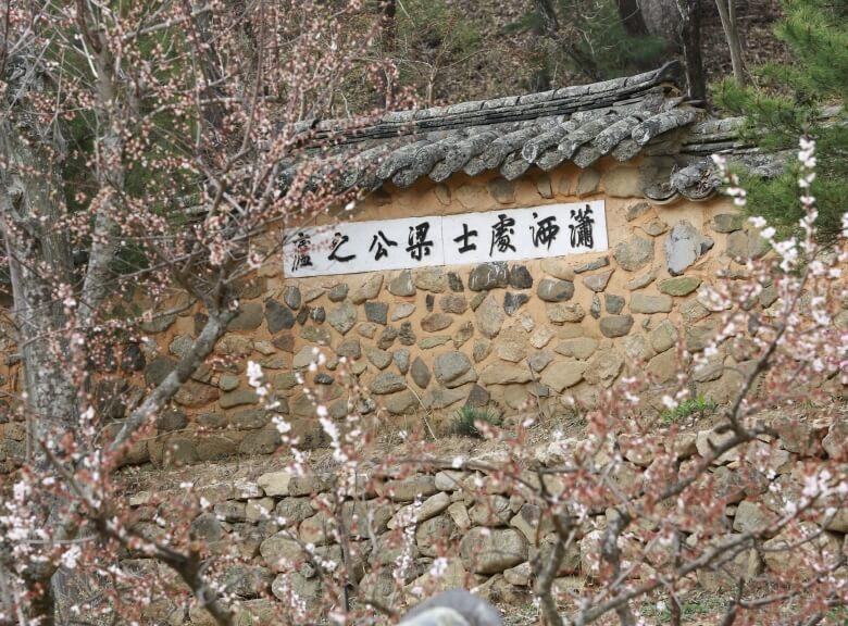 전통문화와 조경의 만남