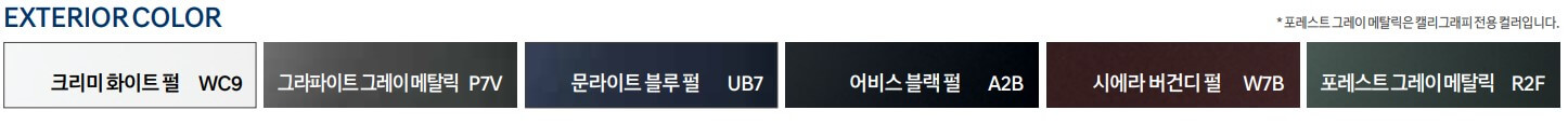 팰리세이드 컬러