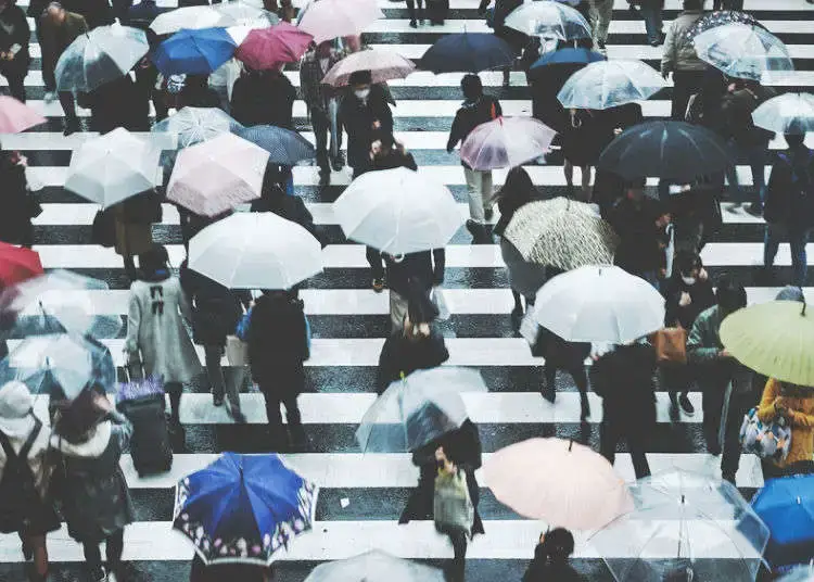 일본은 비가 많이 내린다.