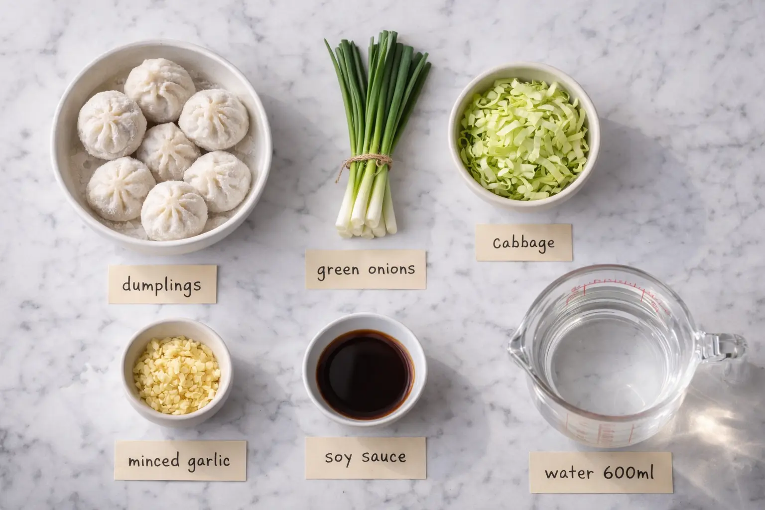 만두국 재료 플랫레이 &ndash; 냉동만두, 대파, 양배추, 다진 마늘, 국간장이 흰 배경에 정렬된 모습