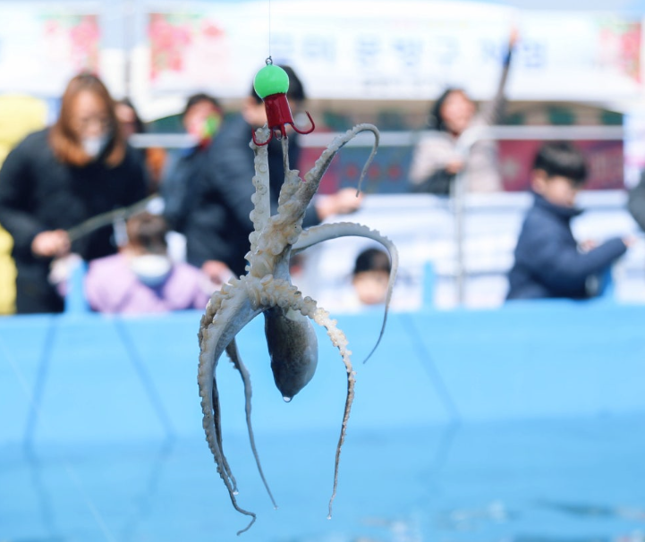 주꾸미 낙시 체험행사 사진