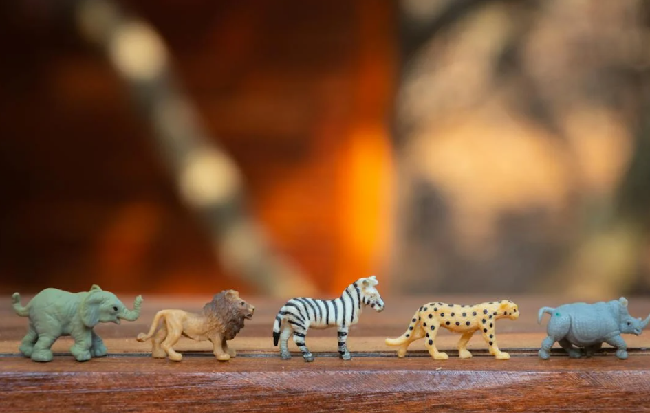 문화누리카드 08