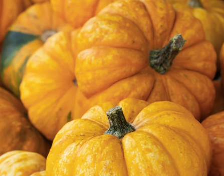 퇴근 후 문화생활, 여가가 만든 삶의 균형