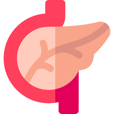 콩팥이 안 좋으면 나타나는 증상