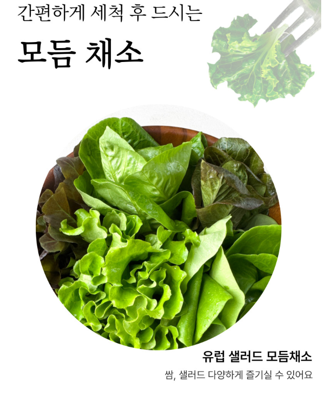 생방송투데이 이주의 장바구니 아쿠아포닉스 16종 유럽 잎채소 구매방법 밀양 플로우팜