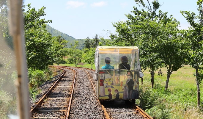 4월 봄 제주 가볼만한곳 명소 TOP 05 데이트 주말 나들이 추천