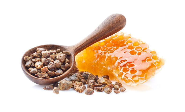 프로폴리스의 효능 및 부작용 총정리