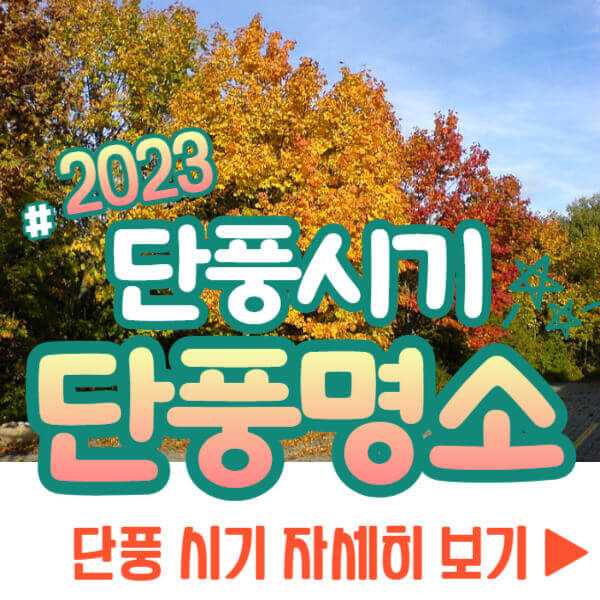 단풍 예상&#44; 절정 시기