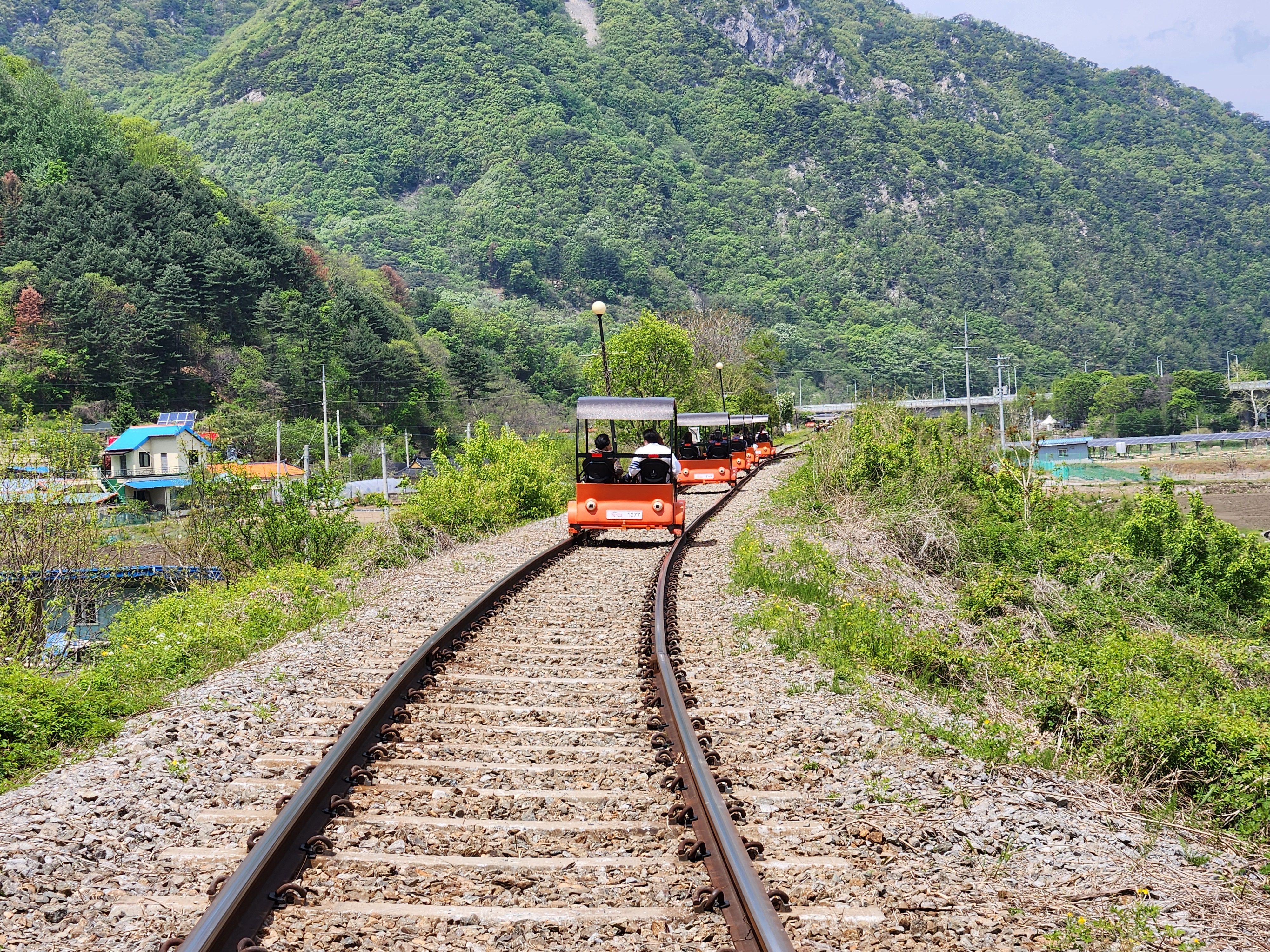 춘천-김유정-레일바이크-이용-예약-시간-요금