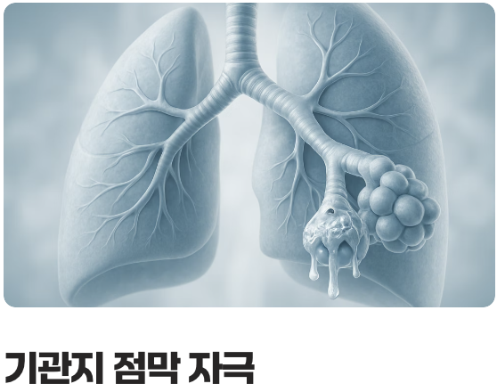 목 안의 청소부, 사포닌의 힘