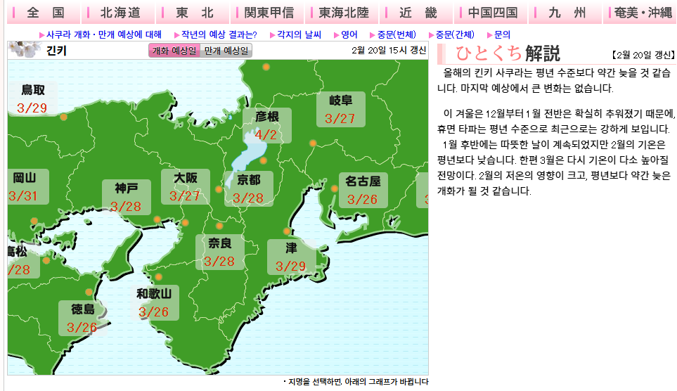 오사카 벚꽃 개화시기112