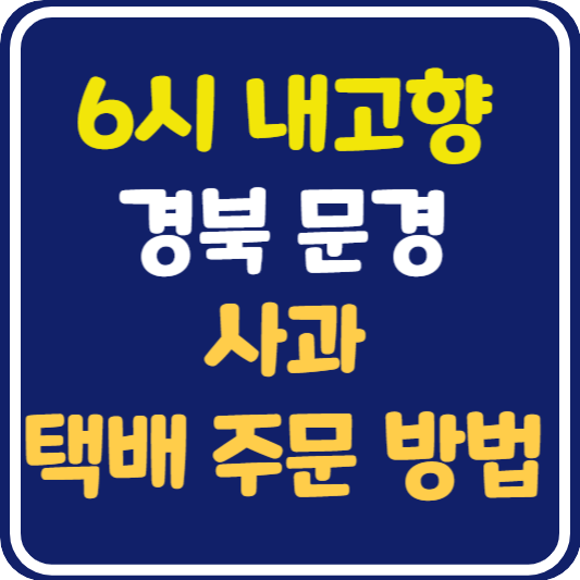 6시 내고향 문경 사과 택배 주문 방법